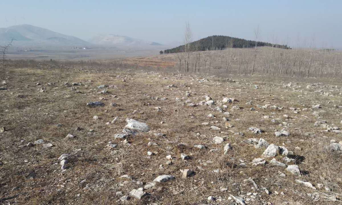 山东济宁泗水县1000亩其他土地 — 裸地转让