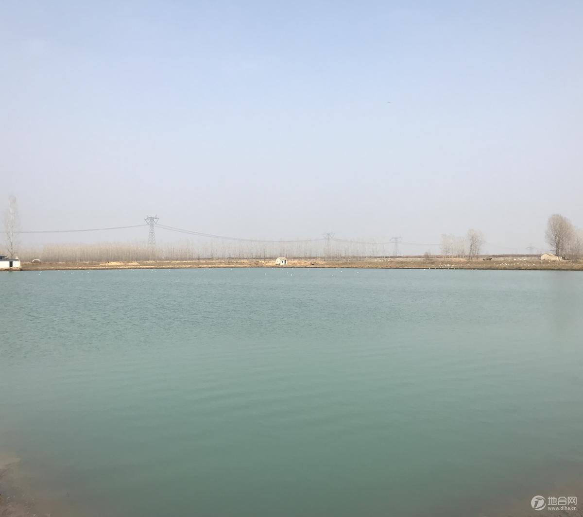 江苏连云港赣榆县欢墩镇朱范500亩水域及水利设施用地  坑塘水面