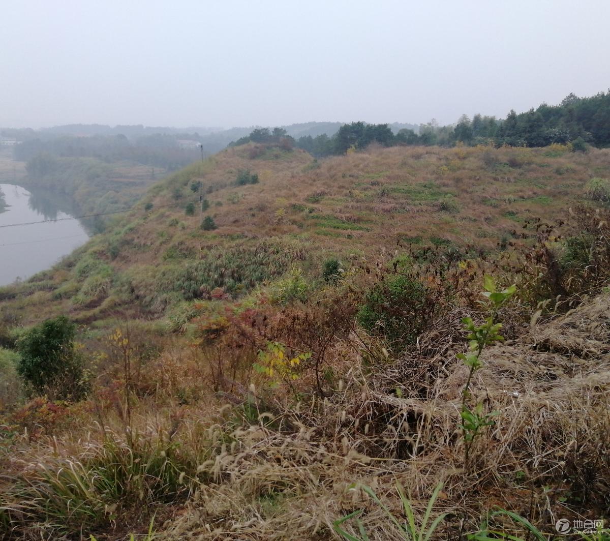 湖南省平江县2296.9亩宜林荒山荒地股权或林地经营权转让