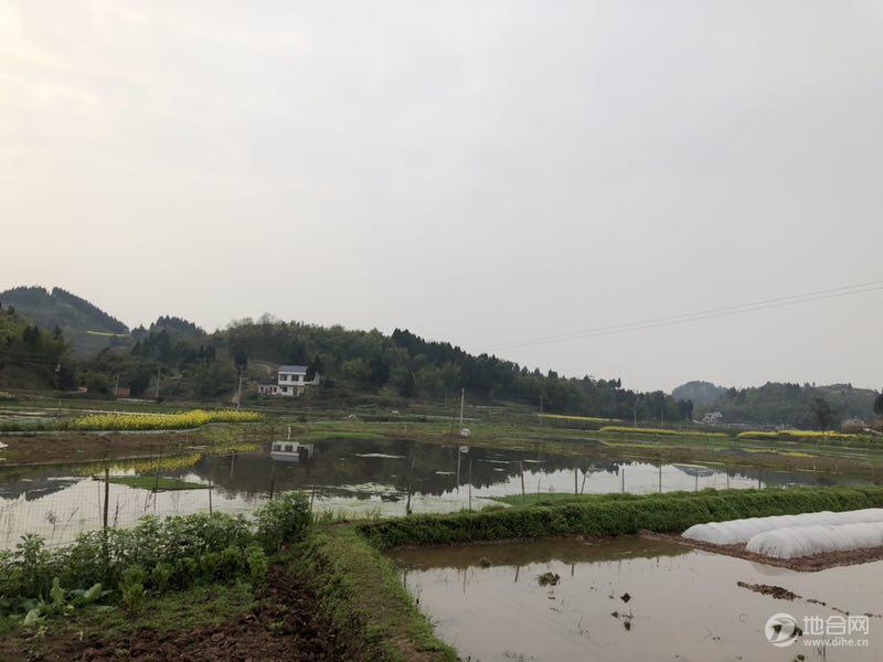 重庆大足三驱50亩水田转让