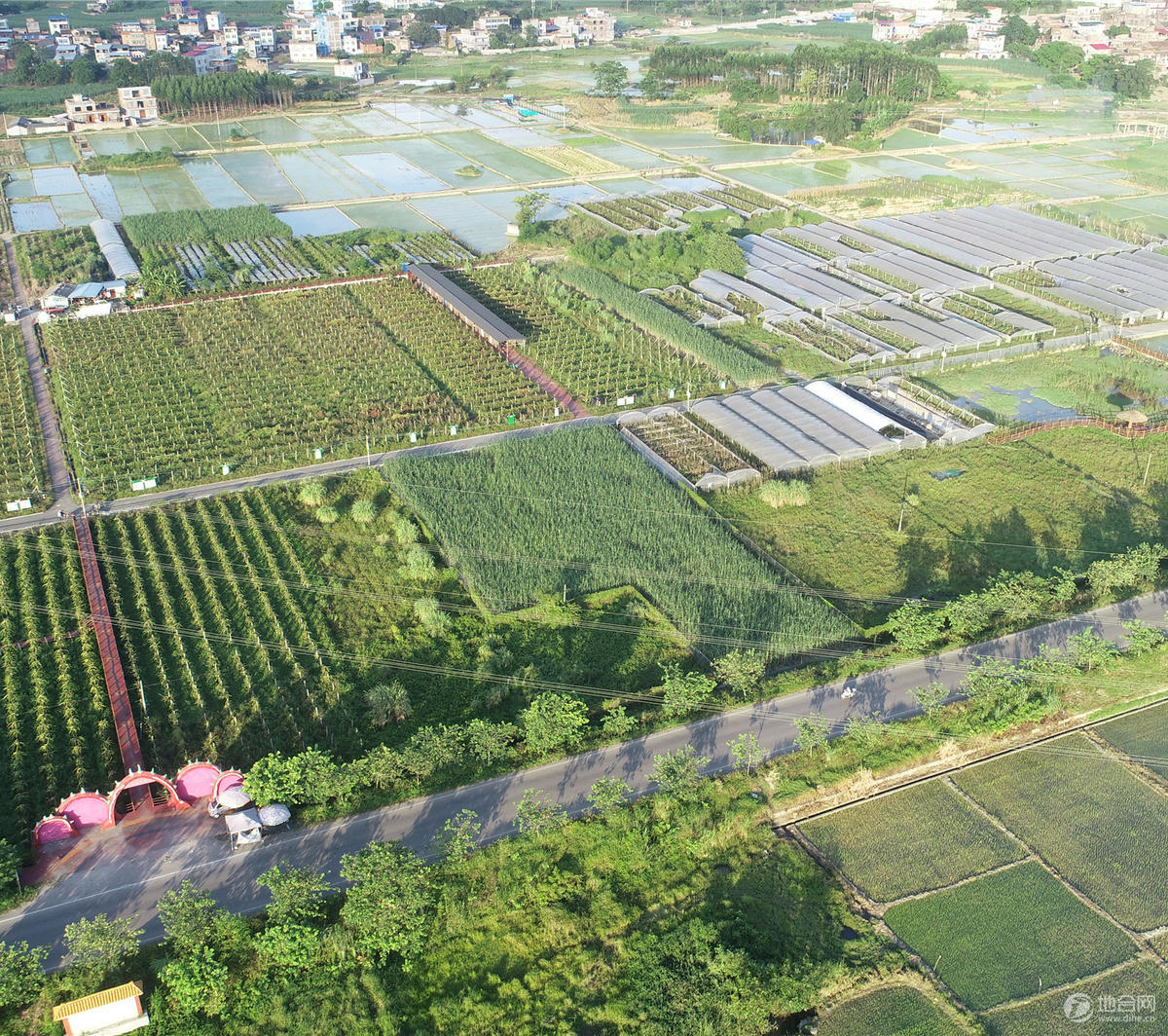 合山市河里镇200亩休闲农业观光园整体转让