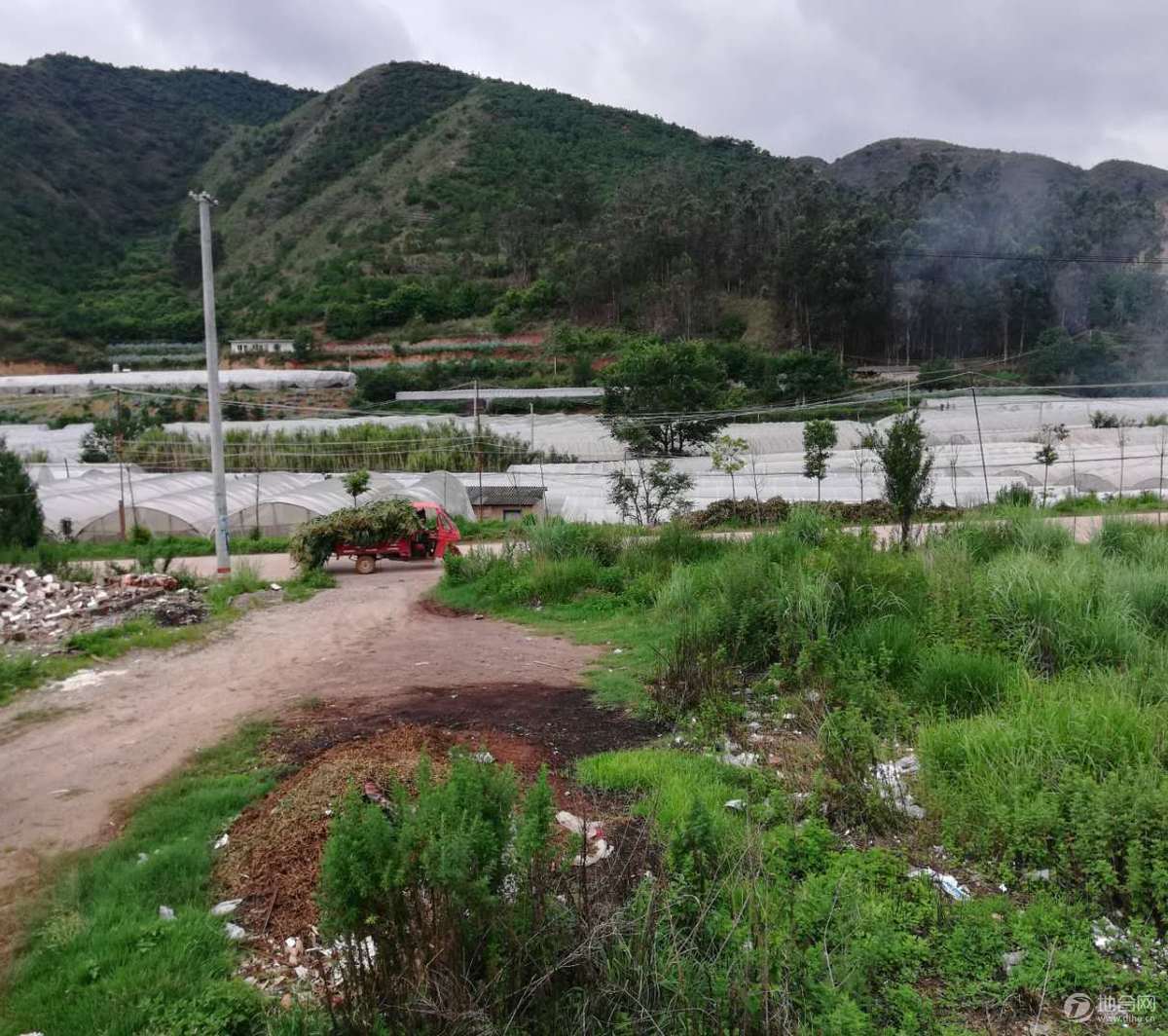 上蒜镇17亩耕地 水浇地转让,全钢架大棚_昆明 晋宁 全钢架玫瑰大棚