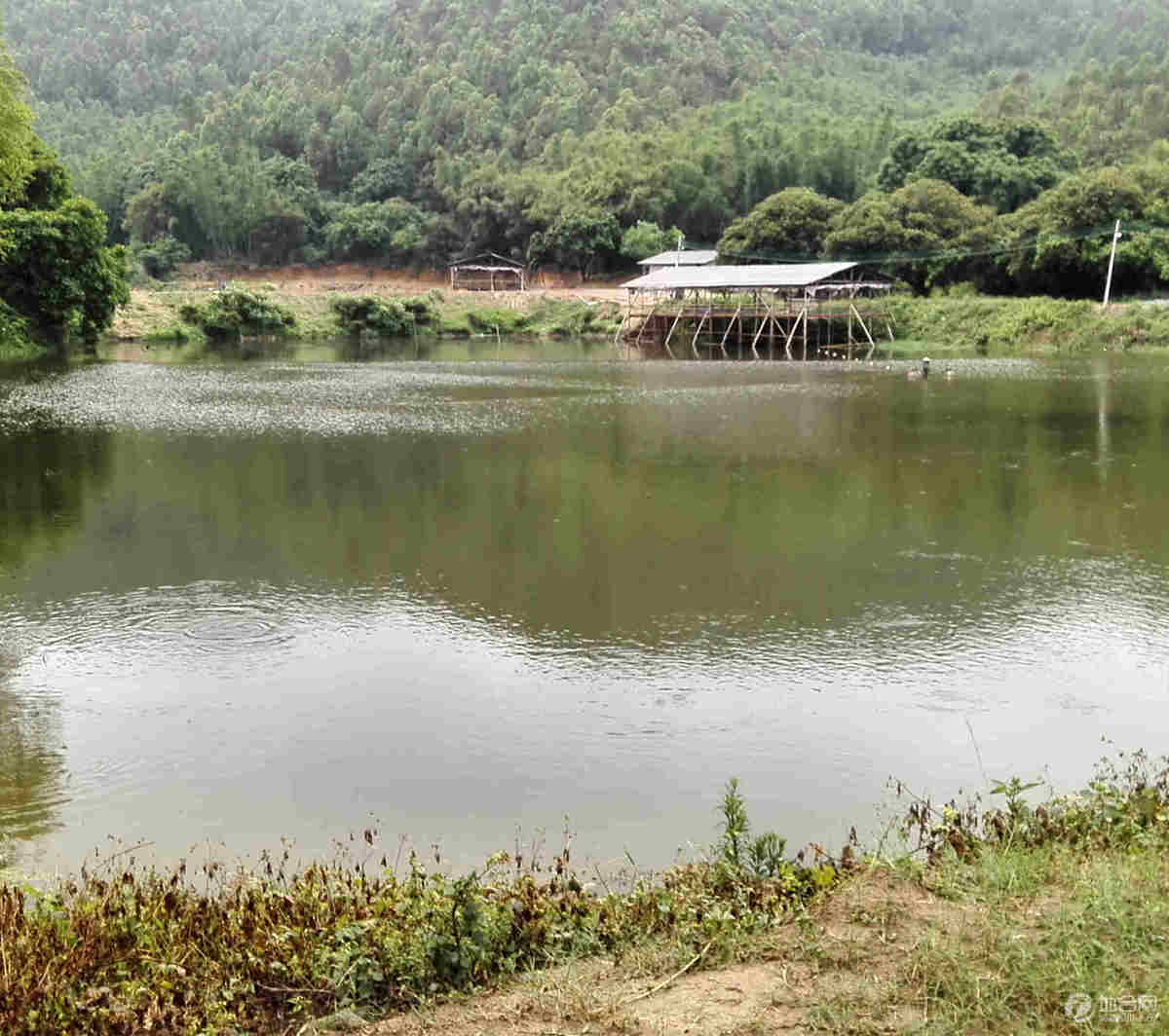 广州增城市中新镇160.00亩旅游休闲地合作入股