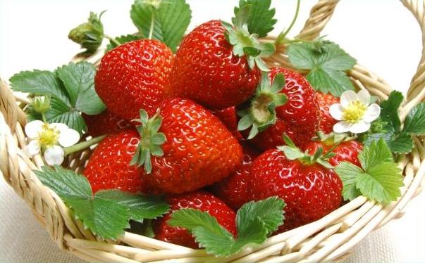 草莓的功效与作用及食用方法_草莓的营养价值