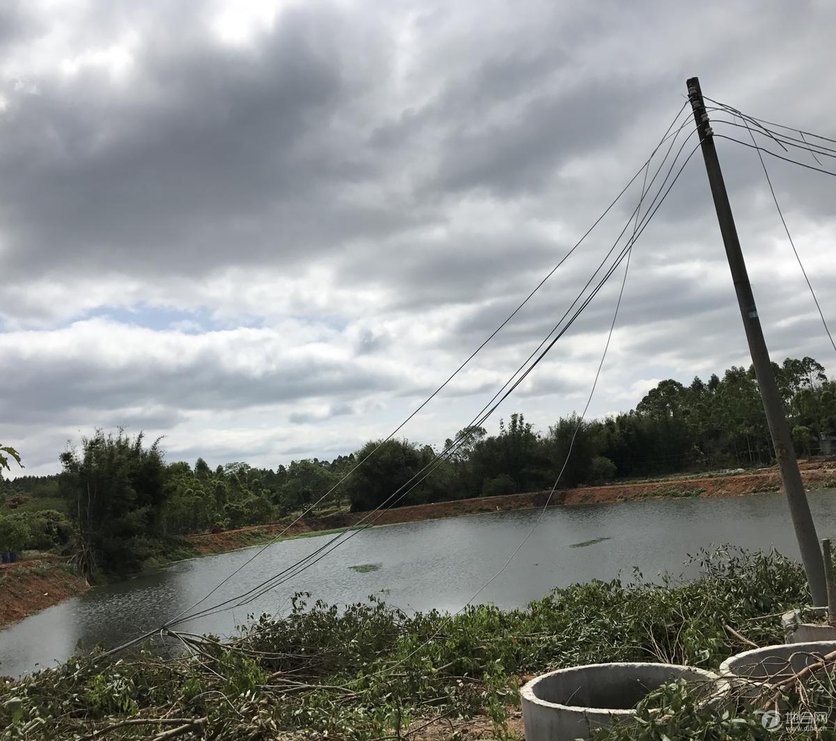 從化區西塘魚塘轉讓50畝魚塘山地低價出售_廣州 從化 ,坑塘,漁場,養殖