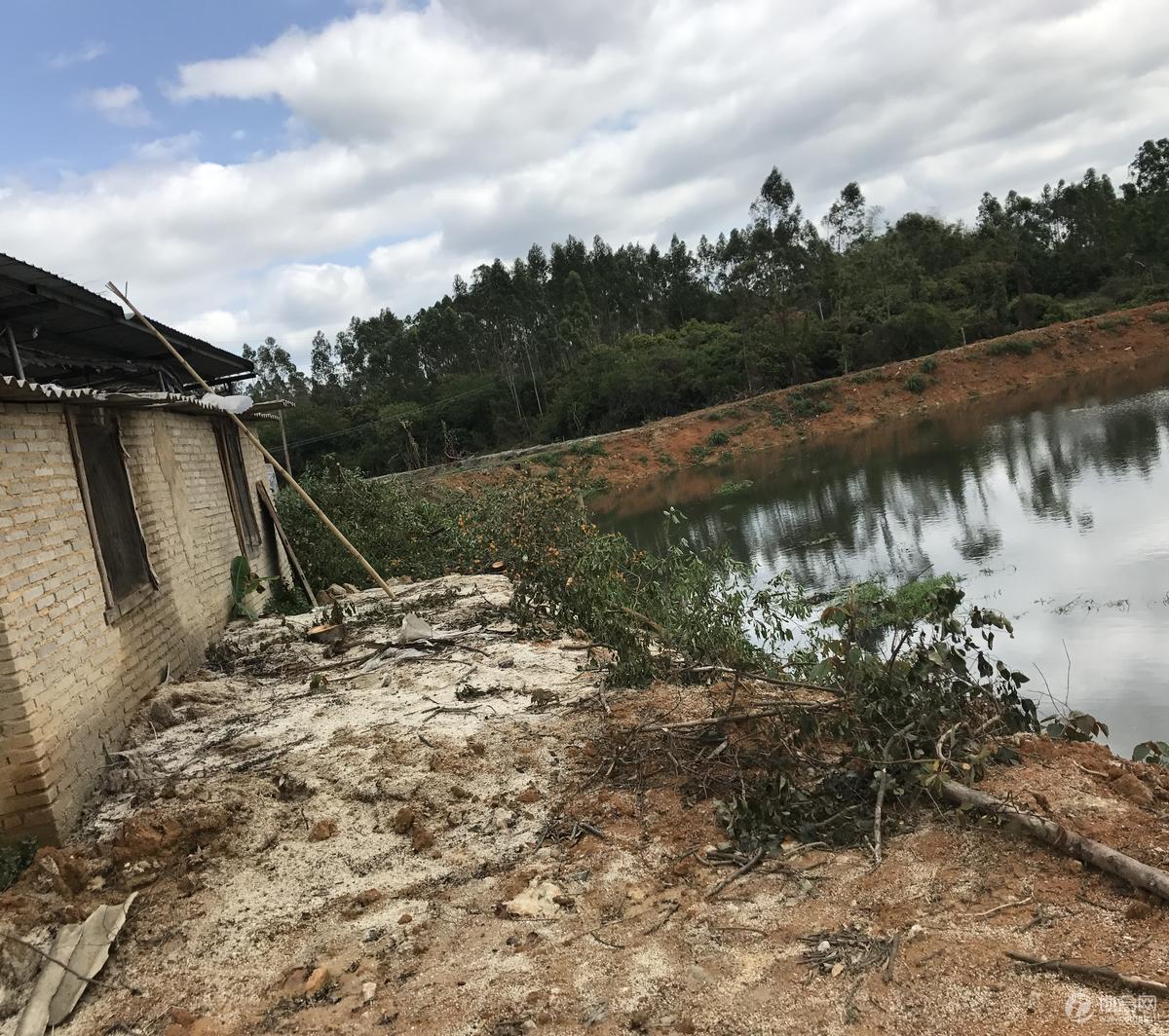 從化區西塘魚塘轉讓50畝魚塘山地低價出售_廣州 從化 ,坑塘,漁場,養殖