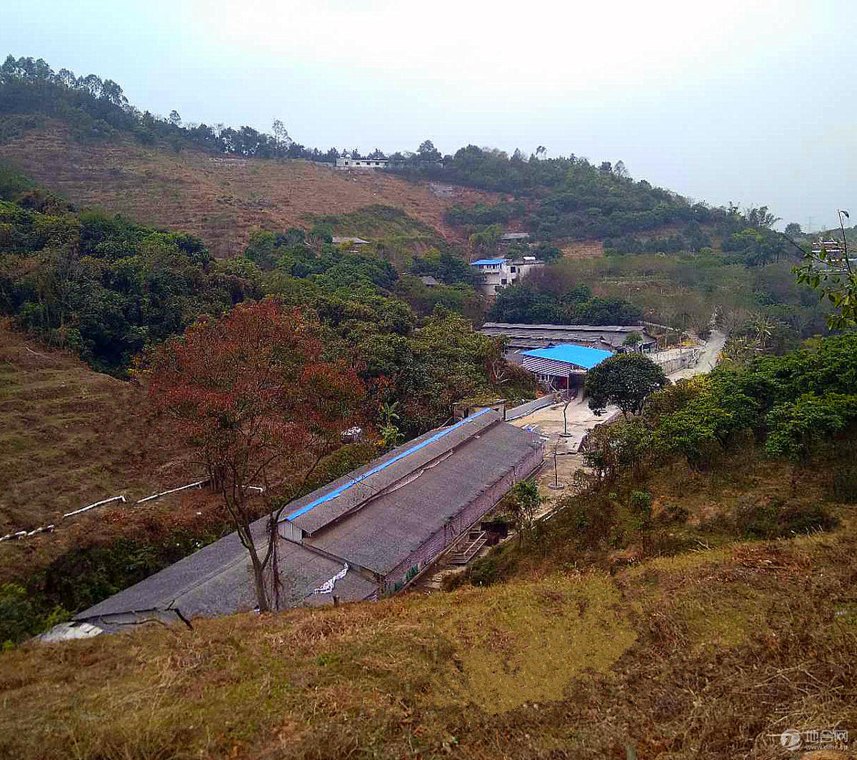 (庭院)廣州從化鰲頭鎮果園帶莊園魚塘 — 急急轉讓18