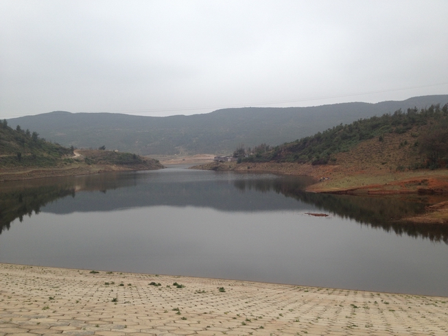 馬龍縣400畝優質水庫及肉牛養殖基地轉讓