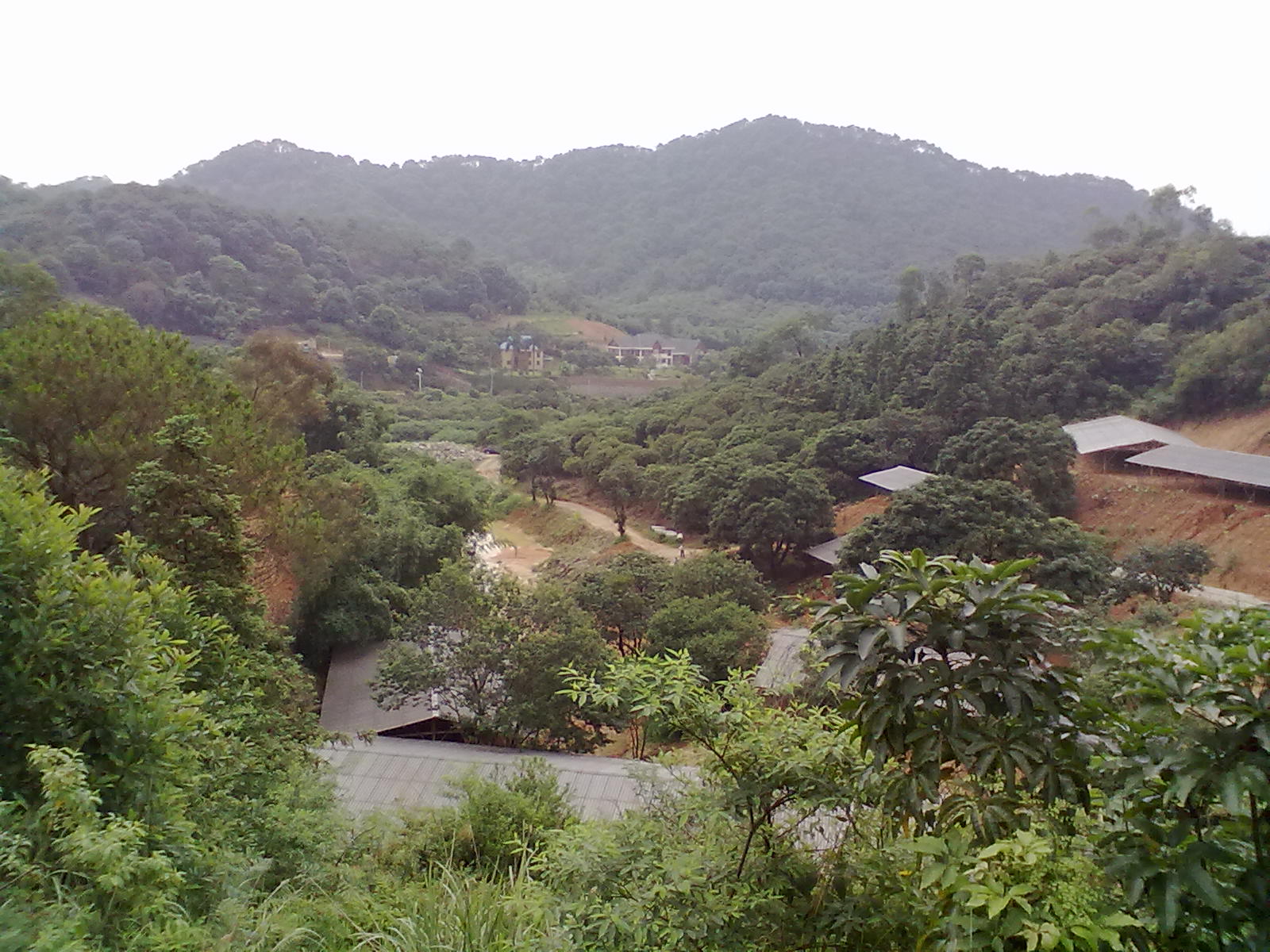 从化区江埔街道锦三村20000亩商住地及山地永久转让