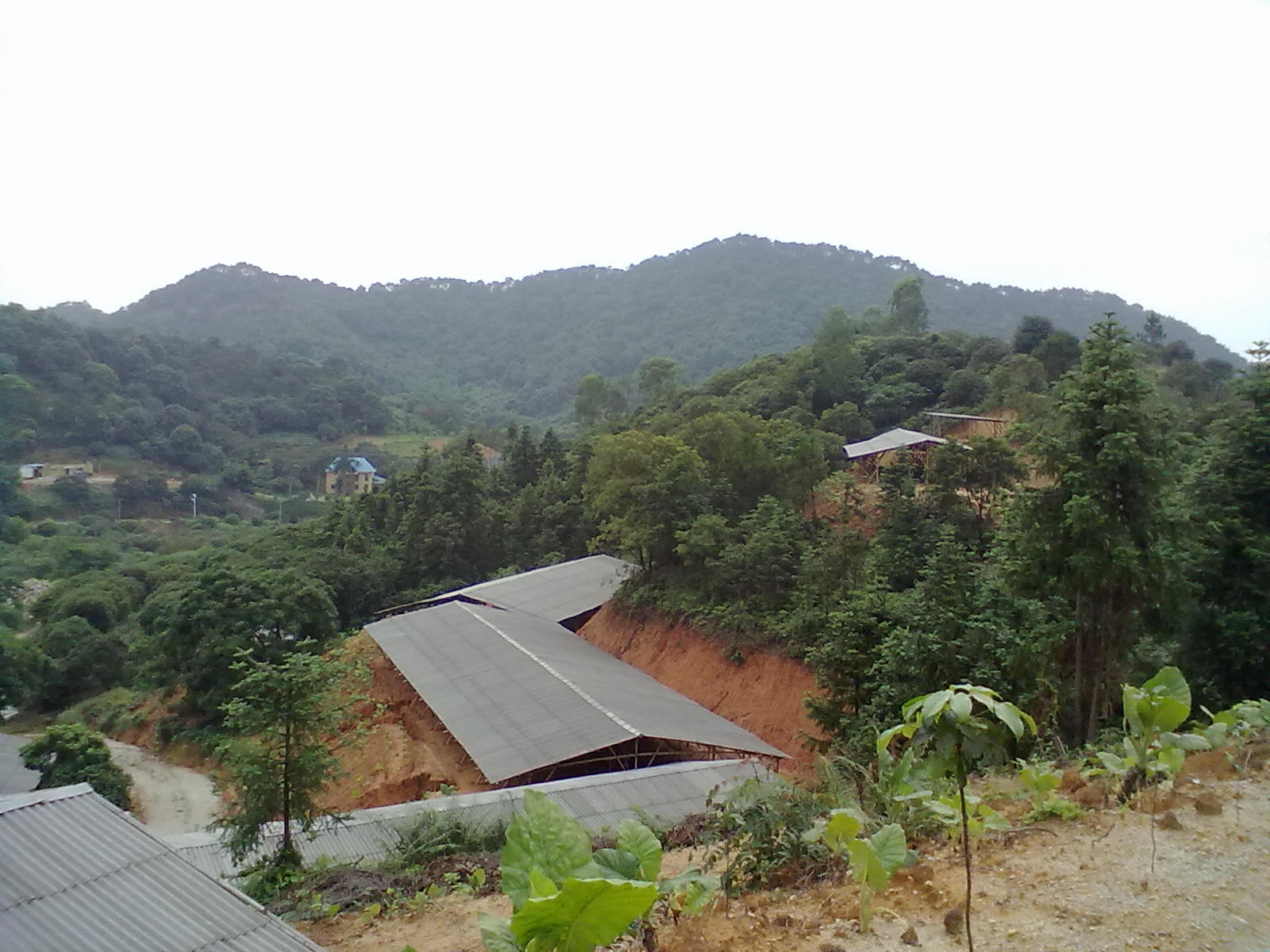 从化区江埔街道锦三村20000亩商住地及山地永久转让