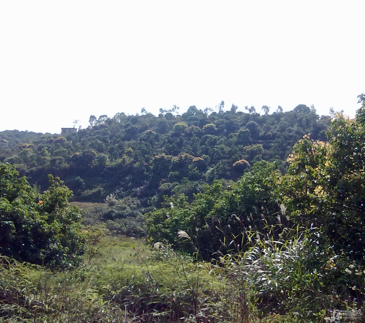 從化鰲頭龍潭800.00畝山地果園農場魚塘樓房養殖場轉讓