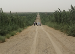 新疆和田洛浦县2000亩农用地转包 