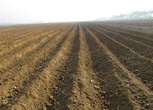 新疆巴音郭楞和静县2000亩设施农用地 草场 农场合作入股 