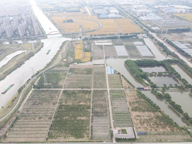 江苏苏州昆山市100亩园地 林地 农庄转让转让费：800万元 
