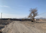 新疆巴音郭楞库尔勒市700亩国有工业用地转让转让费：3000万元 