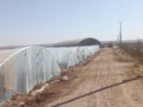内蒙古鄂尔多斯杭锦旗107.12亩设施农用地 水浇地出租 租金：1500元 