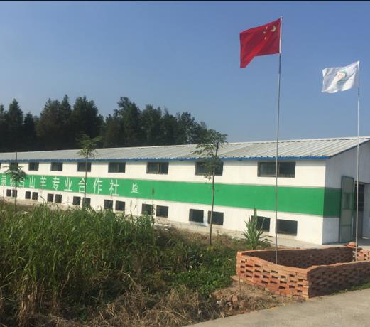  Transfer of cultivated land for facilities of 43 mu breeding farm in Chongming County, Shanghai 