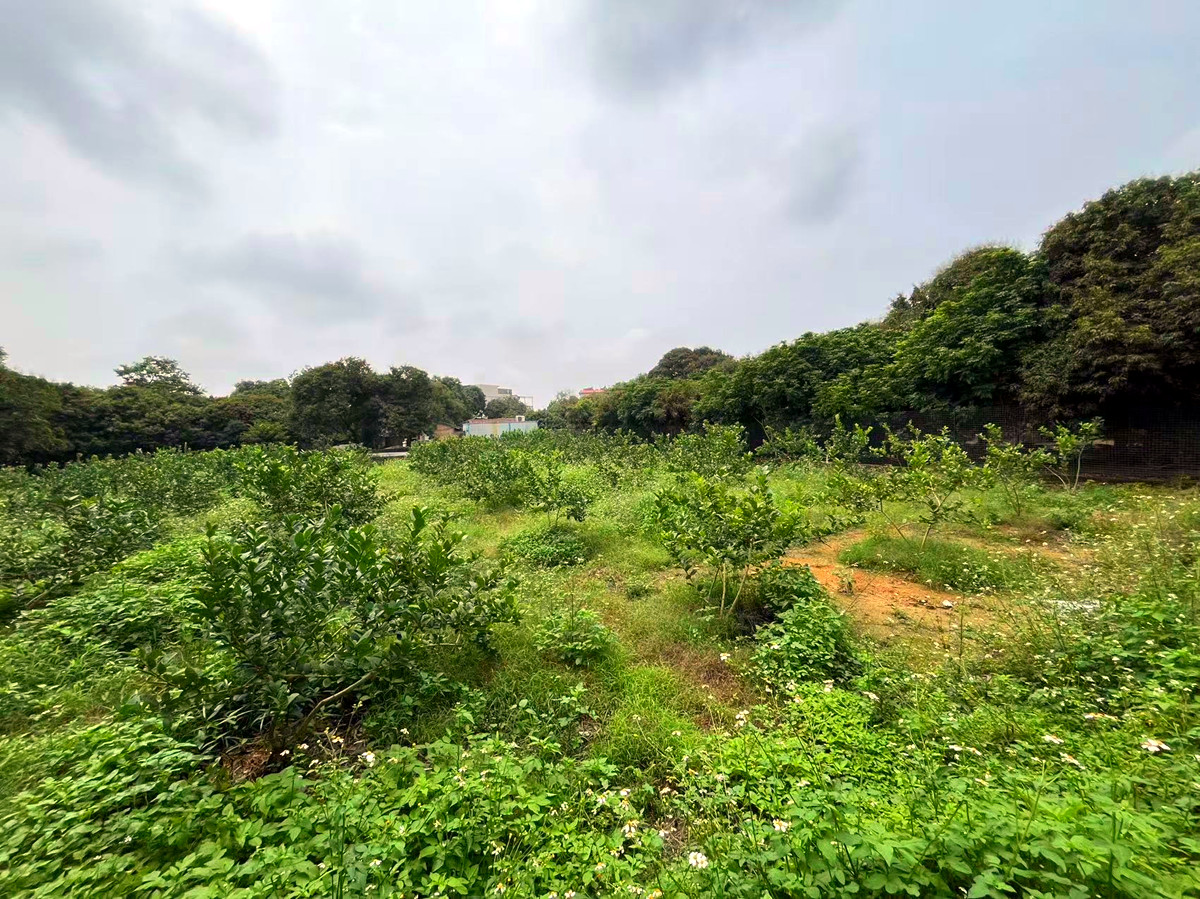 廣州從化區城郊街道2.5畝園地旱地農莊整體轉讓